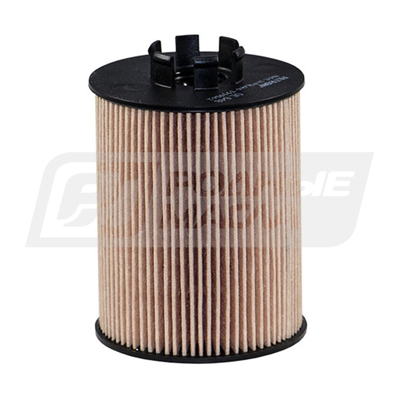 FILTRON OE 648 (O-GM 0650307, 5904608006486) OE648